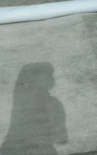پالاز موکت طوسی