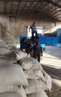 سبوس گندم
