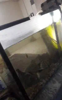 اکواریوم