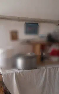دار  قالی