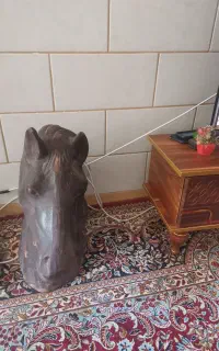 اسب تزئینی