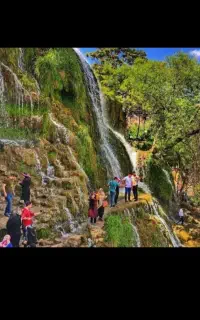 تور