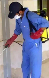 سم پاشی دفع حشرات