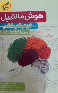 کتاب هوش مالتیپل