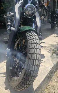 بندا ناپلئون سبز