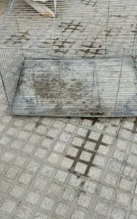 قفس کفتر و مرغ
