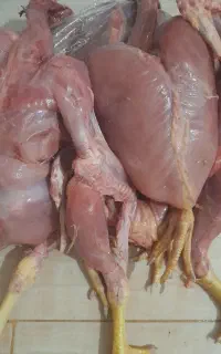 ضایعات مرغ