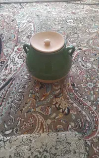 دیزی گلی نو به هیچ وجه استفاده نشده