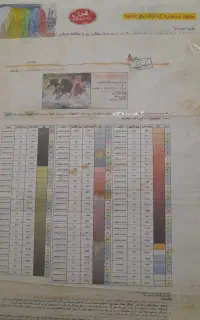 نقشه تابلو فرش