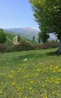 طبیعت گردی و دوچرخه سواری