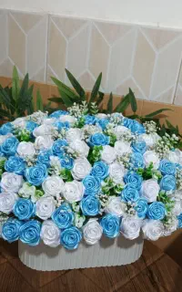 رز قرمز با ما بدرخشید