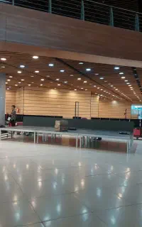 استیج هلندی