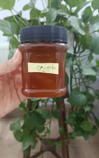 عسل مرغوب تکی به قیمت عمده