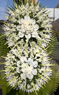 گل ارایی