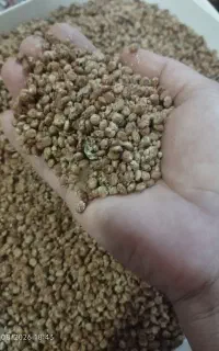 سماق ترش وتمیز کیلویی یک ودویست