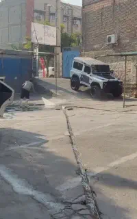 نیروی کار کارواش