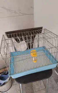 قفس همستر
