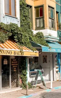 بلیط قطار، اتوبوس