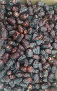 استخدام