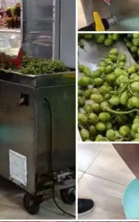 آبگیری گوجه،غوره،انگور،آلبالو