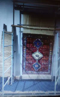 دارقالی