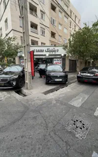 شاخ‌ترین مجموعه محمدی شعبه شرق کاوربدنه هگزیس