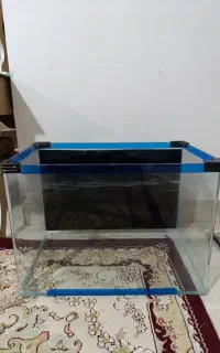 آکواریوم شیشه خم شرکتی