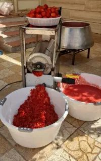 آبگیری گوجه سیار غفاری