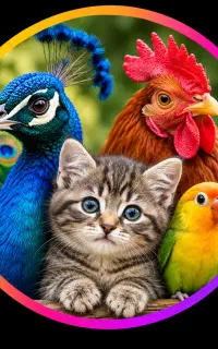 پیج اینستاگرام ۱۹کا