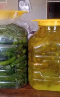 خیارشور محلی
