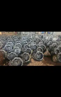 گیربکس دنده ای  اتومات چینی کره ای اروپای