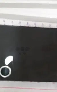 s 24 fe