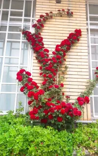 فروش منزل ویلایی
