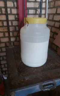 شیر تازه گاو