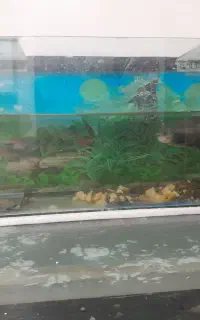 اکواریوم بزرگ