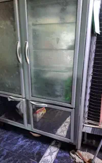 یخچال رستوران و چرخ گوشت رو میزی