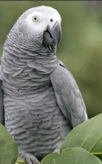 مرجع تخصصی فروش کاسکو