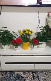 گل مصنوعی