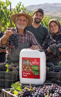 باغدار تاکستان انگور فصل بعد از امسال شروع میشه