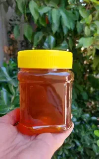 انواع عسل های طبیعی
