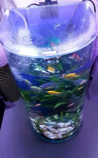 فروش اکواریوم