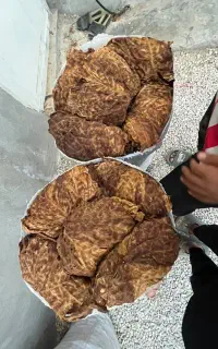 برگ خشک شده گل