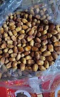 خرما زاهدی