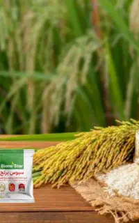 سبوس برنج قهوه ای