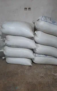 جو دیمه