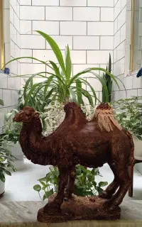 مجسمه شتر زیبا