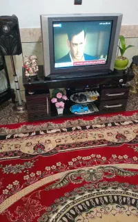 تلویزیون