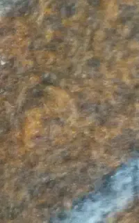 تشک طبی