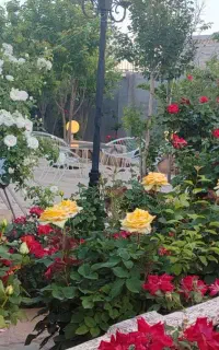 سرایدار جهت باغ ویلا انتهای طرحچی