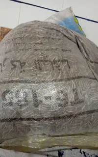تخمک آفتاب گردان